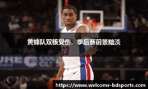 黄蜂队双核受伤，季后赛前景黯淡