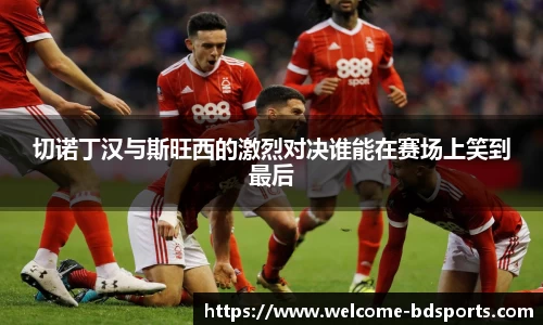 切诺丁汉与斯旺西的激烈对决谁能在赛场上笑到最后