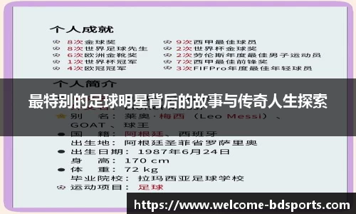 半岛体育官方网站